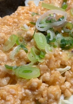 ピリ辛にんにく鶏そぼろあん＊-レシピのメイン写真