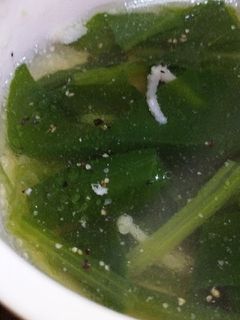 ほうれん草と豚肉の生姜スープ☆-レシピのメイン写真