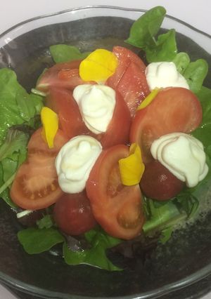 いろいろトマトチーズのサラダ-レシピのメイン写真