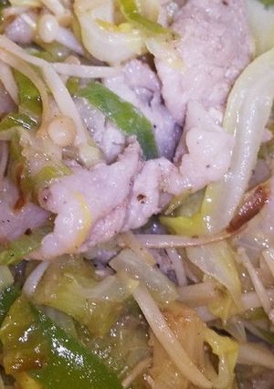 簡単♪我が家の肉野菜炒め☆-レシピのメイン写真