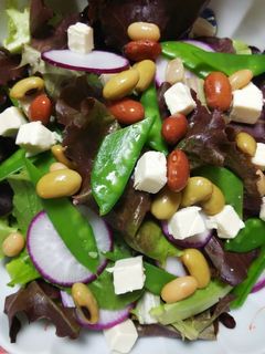 さやいんげんとラディッシュのサラダ-レシピのメイン写真