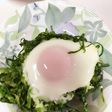 キャベツの巣ごもりたまご〜(^q^)