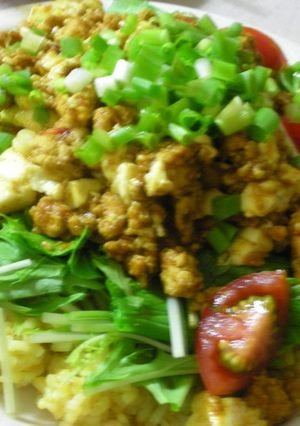 鶏挽肉と豆腐の和風ドライカレー-レシピのメイン写真