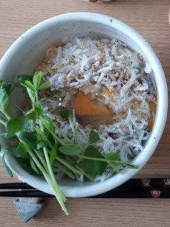 しらす生卵の朝食どん-レシピのメイン写真