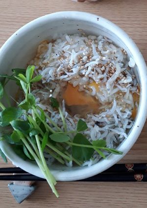 しらす生卵の朝食どん-レシピのメイン写真