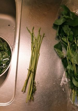 モロヘイヤの下ごしらえのコツ-レシピのメイン写真