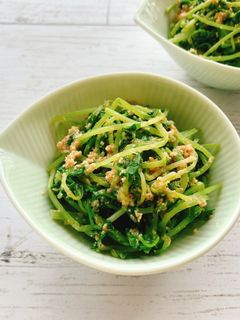 豆苗の胡麻和え-レシピのメイン写真
