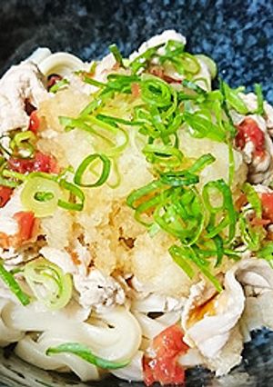 彩り豊か♪梅と大根おろしのさっぱりうどん-レシピのメイン写真
