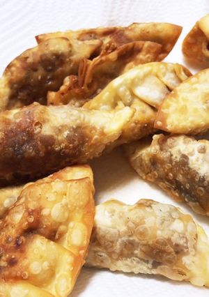 ナスミート餃子-レシピのメイン写真