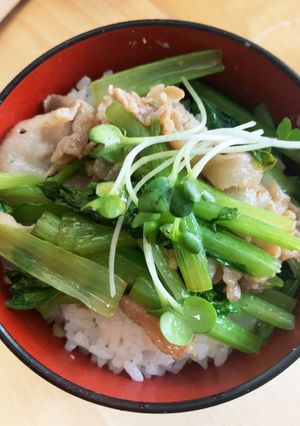 材料2品で作る!青梗菜と豚バラの炒め物-レシピのメイン写真