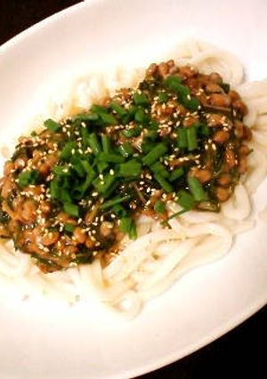 ねばねばヘルシーうどん-レシピのメイン写真