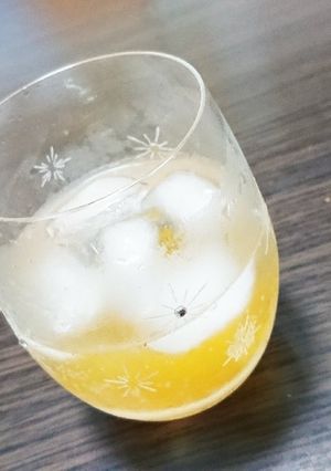 ひろきちジントニック-レシピのメイン写真