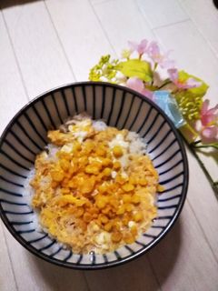 サクサク★天かす丼-レシピのメイン写真