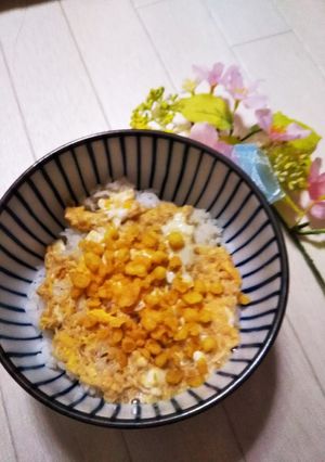 サクサク★天かす丼-レシピのメイン写真