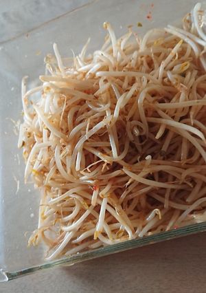 無限 ピリ辛もやし-レシピのメイン写真