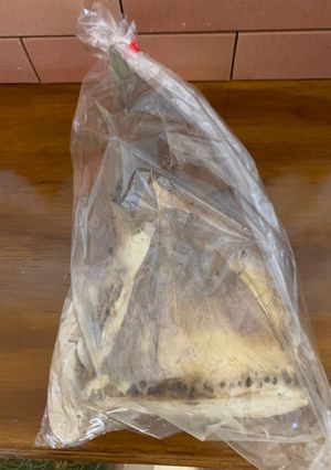 簡単少しのコツでえぐみ無し☆筍のアク抜き-レシピのメイン写真