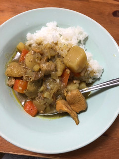ジャマイカンカリーチキン カレー-レシピのメイン写真