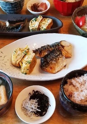 朝ごはん！しらす 小葱 めんつゆ玉子焼き-レシピのメイン写真