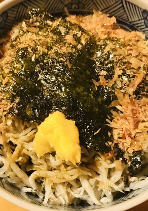 シラス&おかか＆味つけ海苔のお手軽三種丼-レシピのメイン写真