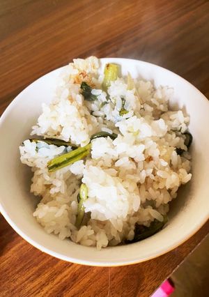 野沢菜ご飯-レシピのメイン写真