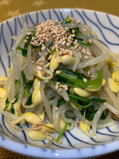 豆苗と豆もやしのナムル-レシピのメイン写真