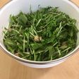 水菜とツナの5分サラダ
