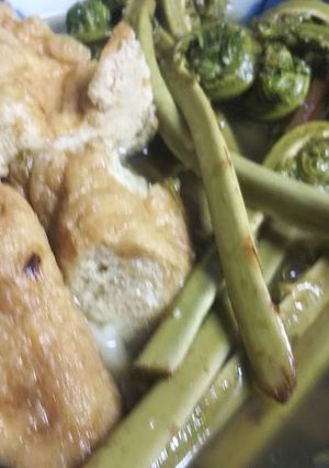こごみの炊いたん（煮浸し）-レシピのメイン写真