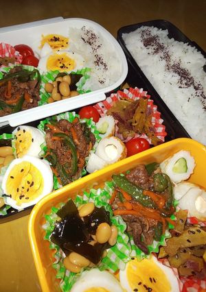 野菜たっぷり男子弁当 2~3-レシピのメイン写真