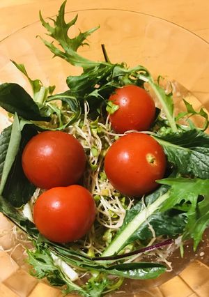 スプラウトとプチトマトのサラダ-レシピのメイン写真