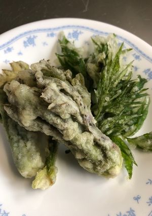 山菜、タラノメとニワトコの天ぷら-レシピのメイン写真