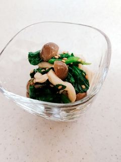 ほうれん草としめじのごまポン酢和え-レシピのメイン写真