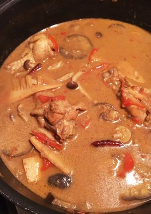 マレーシア風レッドカレー-レシピのメイン写真