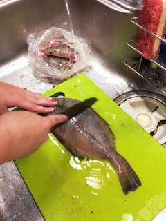 子供と魚をさばこう!カレイ編-レシピのメイン写真