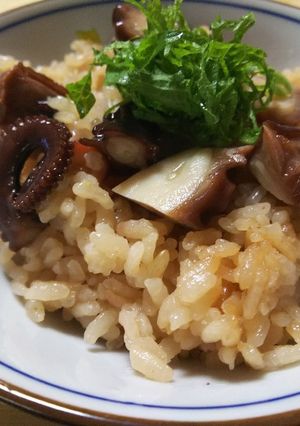 天草”地たこのさくら煮”の　たこめし-レシピのメイン写真