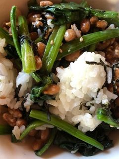 納豆とほうれん草の海苔ゴマご飯-レシピのメイン写真