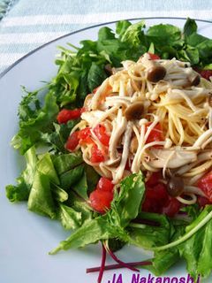 冷製パスタ-レシピのメイン写真