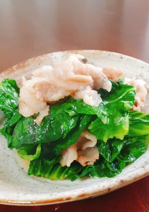 生の高菜のブタ肉炒め〜ご飯が進む❢〜-レシピのメイン写真