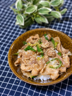 ちゃちゃっとお家で簡単ランチスタミナ丼-レシピのメイン写真