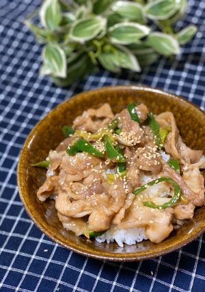 ちゃちゃっとお家で簡単ランチスタミナ丼-レシピのメイン写真