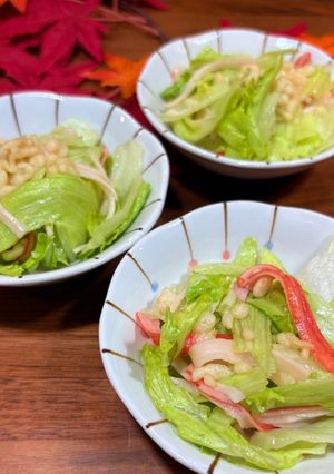 レタスとカニカマの和風サラダ-レシピのメイン写真
