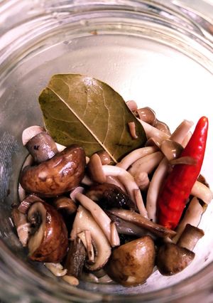 キノコのビネガーマリネ-レシピのメイン写真