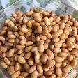 大豆の蒸し