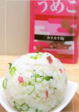 うめこ＊しらす＊葱のおむすび-レシピのメイン写真