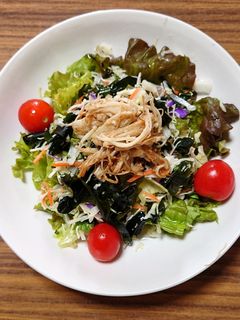 ヨウサマの糖質オフサラダ-レシピのメイン写真