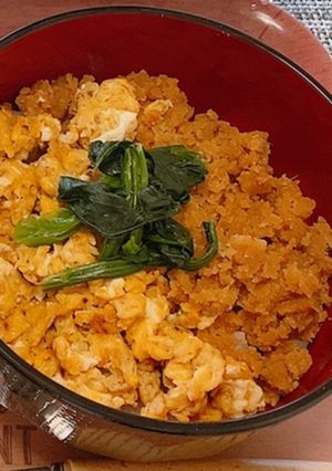 肉なし！おからそぼろ-レシピのメイン写真