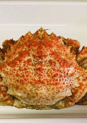 カニ茹でた！-レシピのメイン写真