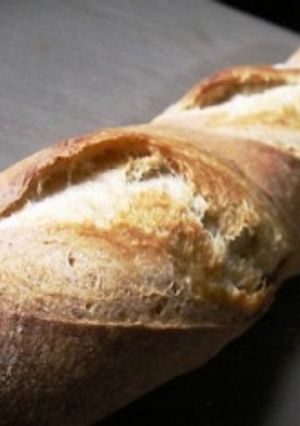 フランスパン NoKneadBread-レシピのメイン写真