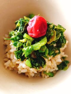 高菜のごま油炒め-レシピのメイン写真