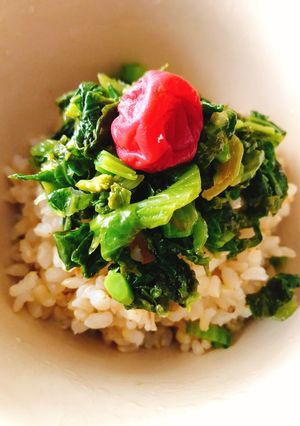 高菜のごま油炒め-レシピのメイン写真