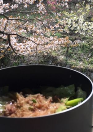 山ごはんで野菜盛り沢山!和風スープパスタ-レシピのメイン写真
